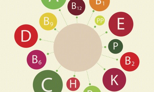 生黄芩的食用方法-【生黄芩图片中药图片】生熟黄芩区别 - 生黄芩的图片网