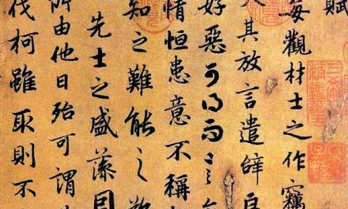【生黄芩图片中药图片】生熟黄芩区别 - 生黄芩的图片网