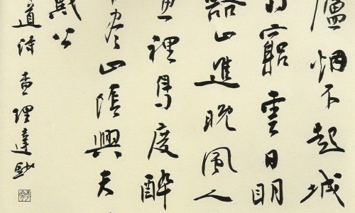 生熟黄芩区别-【生黄芩图片中药图片】生熟黄芩区别 - 生黄芩的图片网